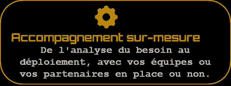 Icône accompagnement IT sur-mesure